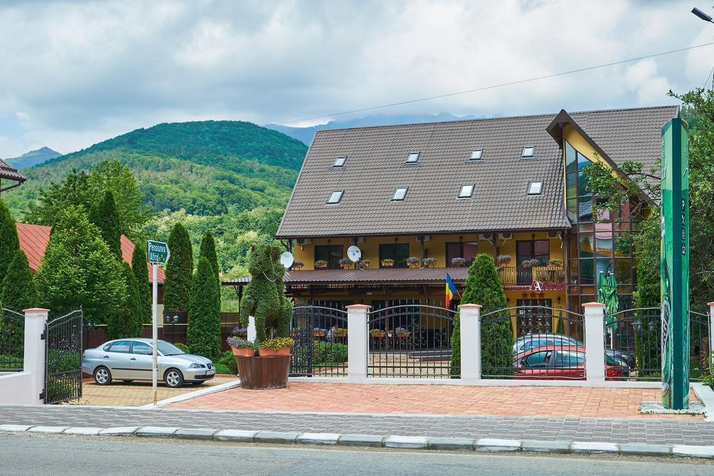 Pensiunea Alfrid Călimăneşti Extérieur photo